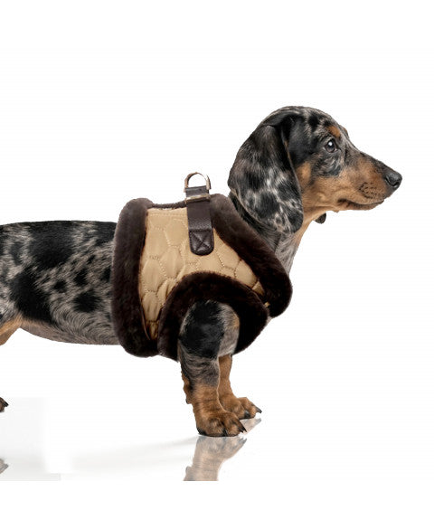 Milk & Pepper Monty Hondentuig – Bruin | 26–38 cm