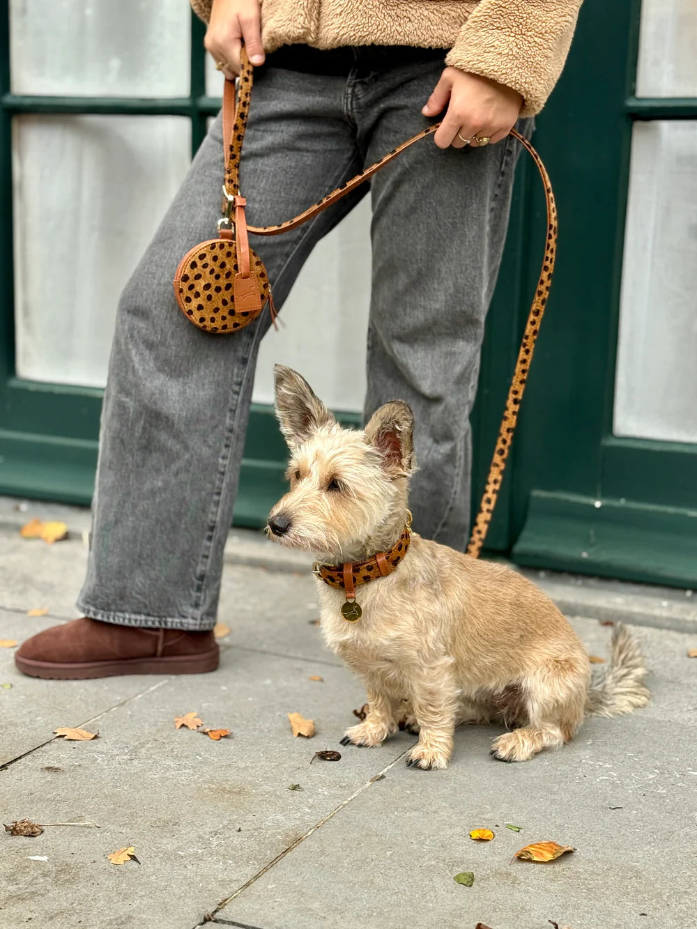 The Dog Musthaves Hondenlijn – Klassiek Cheetah met messing afwerking