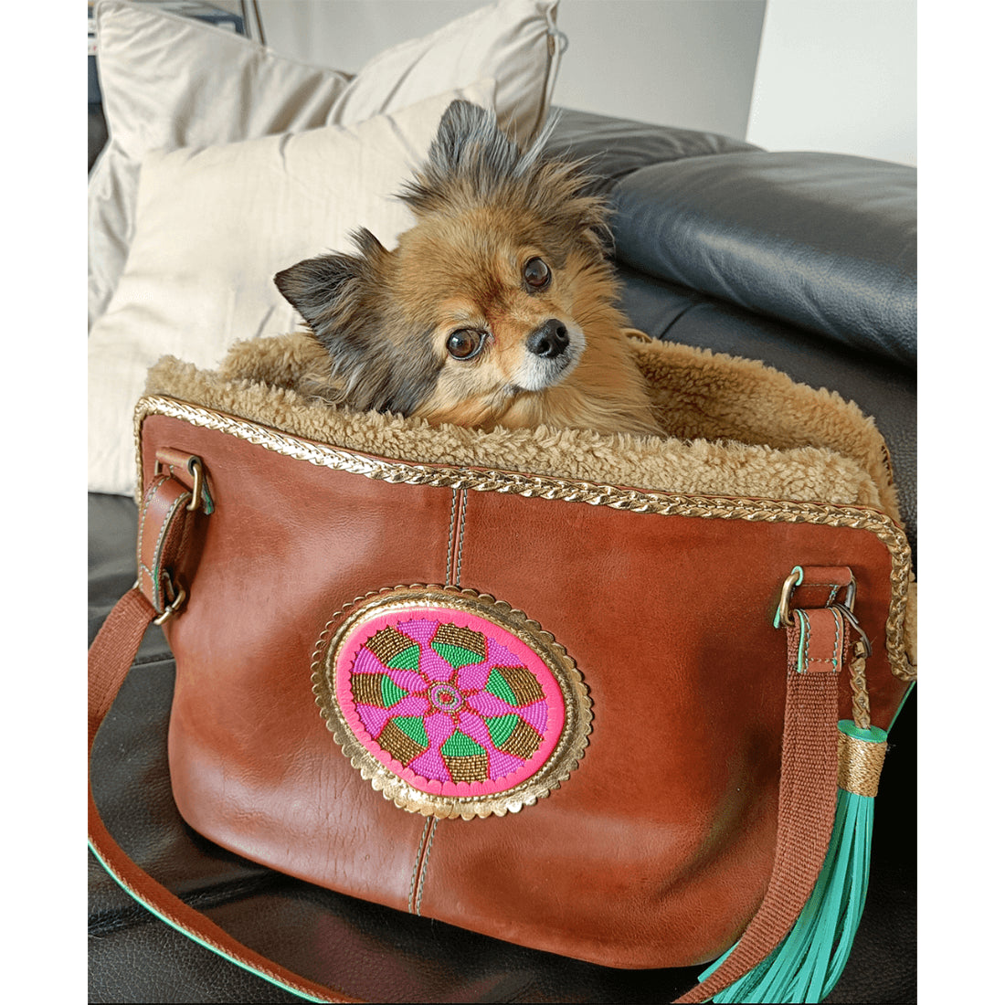 DWAM Bonita Hondentas – Luxe stijl & comfort voor jou én je viervoeter