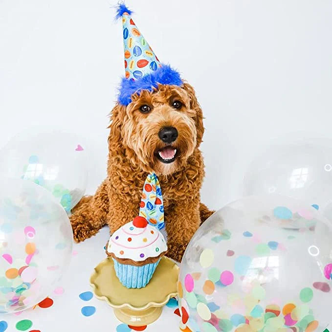 Power Plush Pupcake Blauw – Pluche hondenspeeltje met pieper & crinkle