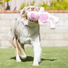 Lulubelles Power Plush – Piggie - Pluche Hondenspeelgoed