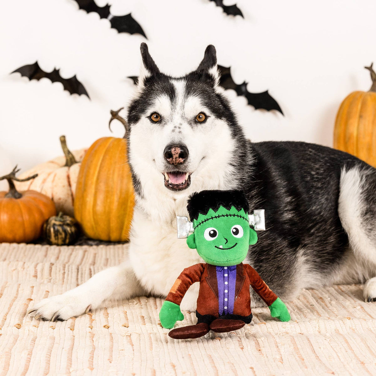 Fringe Studio It’s Alive Halloween Monster – Pluche Hondenspeelgoed