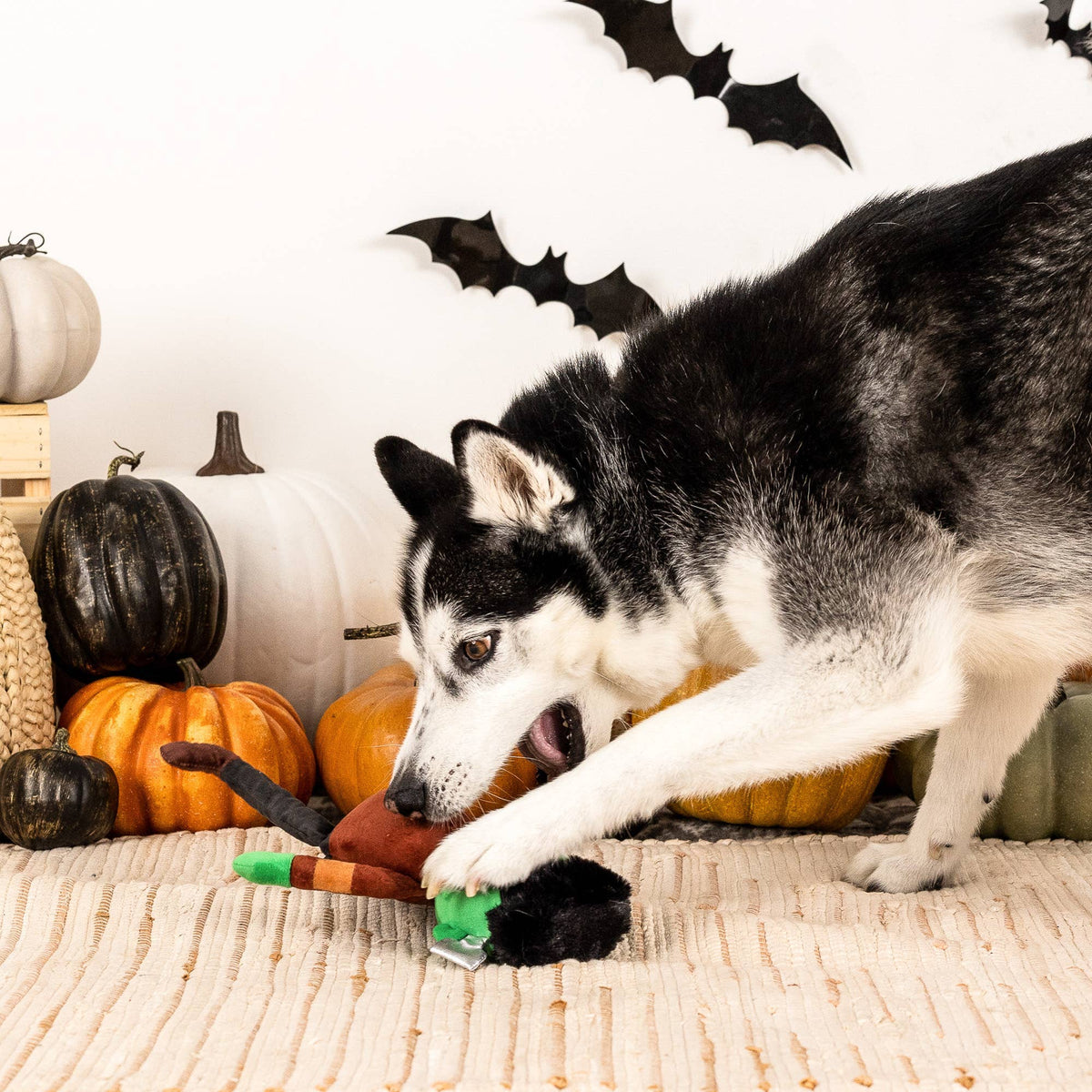 Fringe Studio It’s Alive Halloween Monster – Pluche Hondenspeelgoed