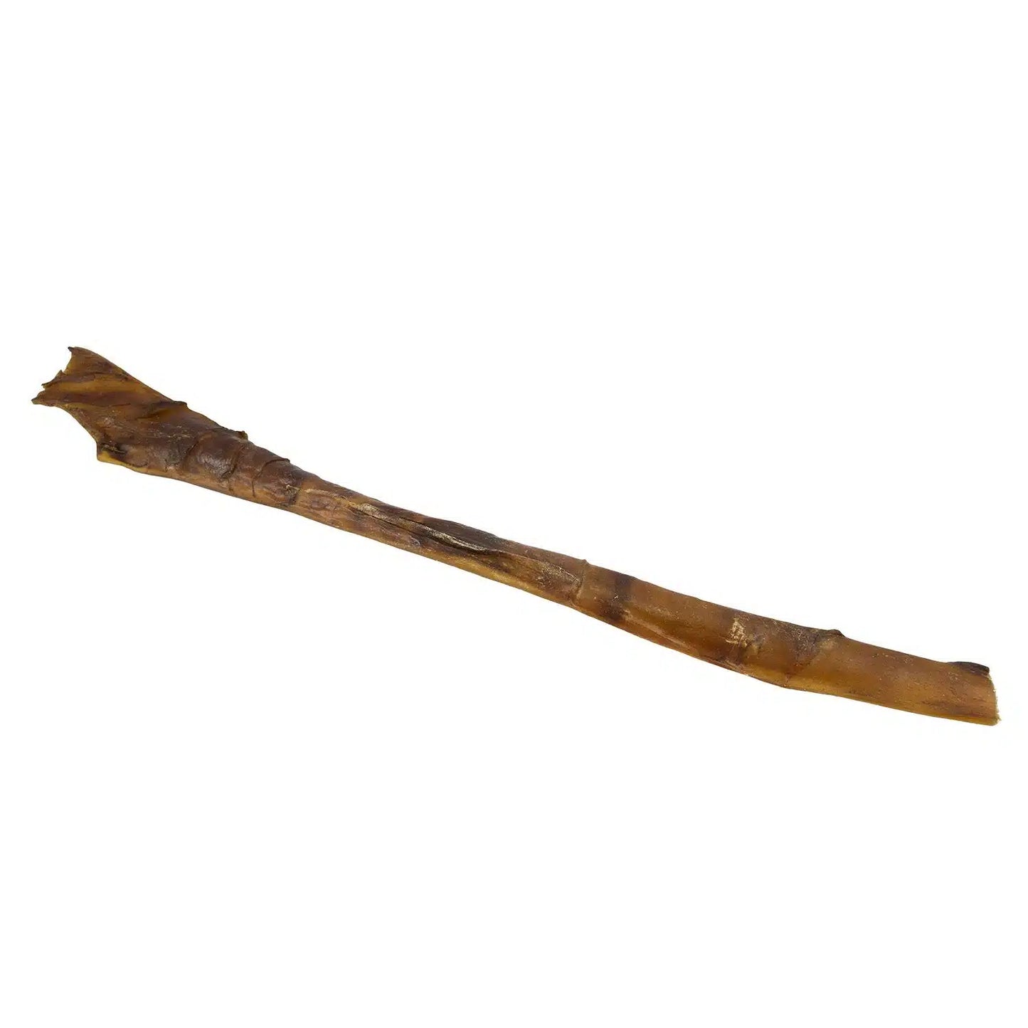 Kamelenhuid – 70 cm (natuurlijke snack)