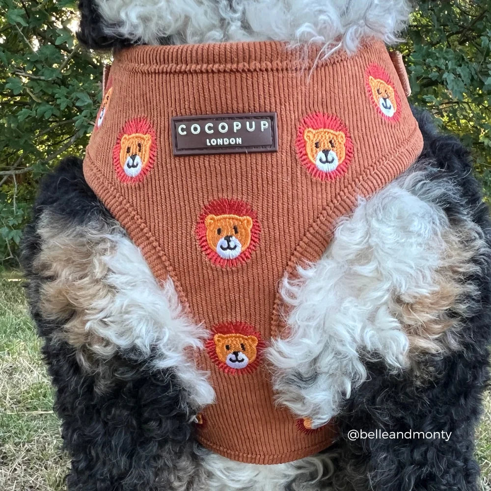 Cocopup London Leo the Lion – Verstelbaar Hondentuig