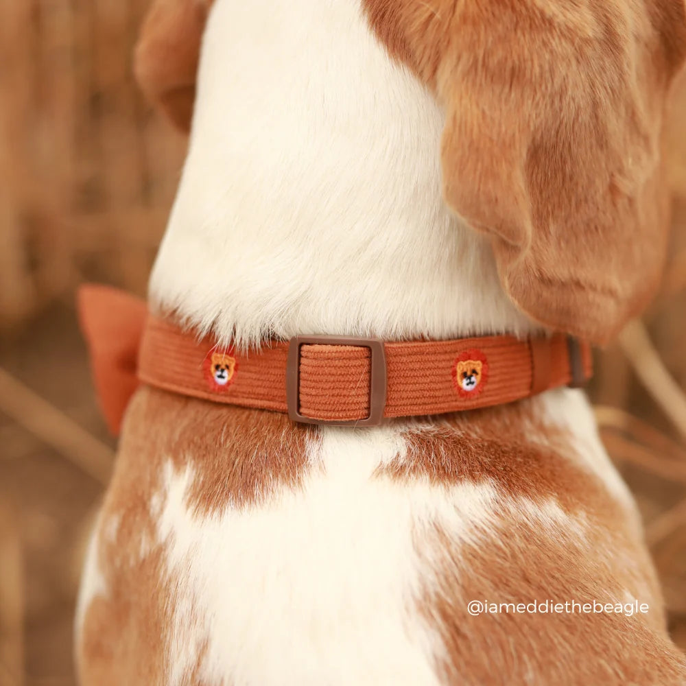 Cocopup London Leo the Lion – Hondenhalsband