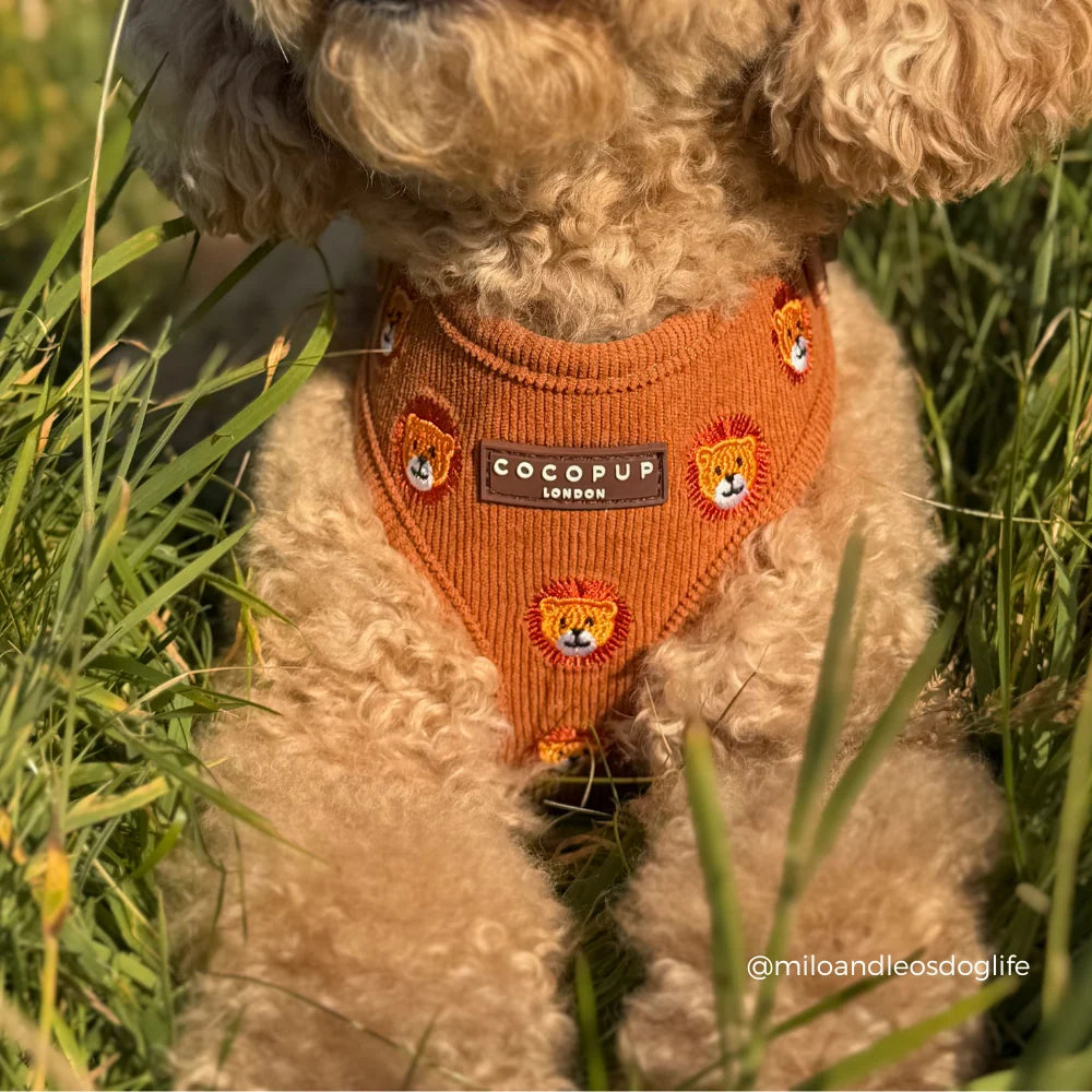 Cocopup London Leo the Lion – Verstelbaar Hondentuig