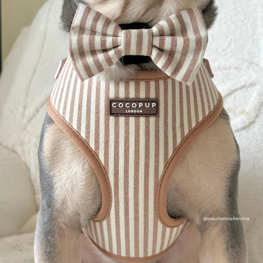 Cocopup London London Linen Stripes – Hondenstrikje