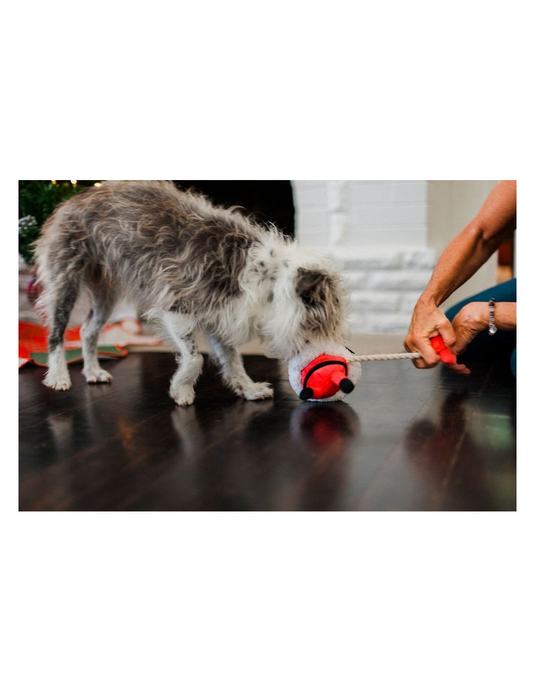 P.L.A.Y. Merry Woofmas Clumsy Claus