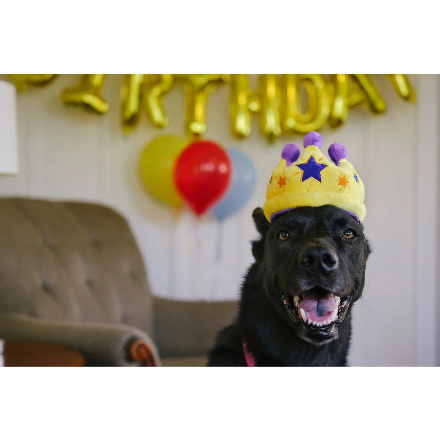 P.L.A.Y. Canine Crown – Pluche Kroon Hondenspeelgoed met Pieper & Knisper (Party Time)