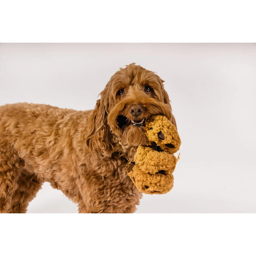 P.L.A.Y. Pup Cup Café Cookies N’ Treats Hondenspeeltje