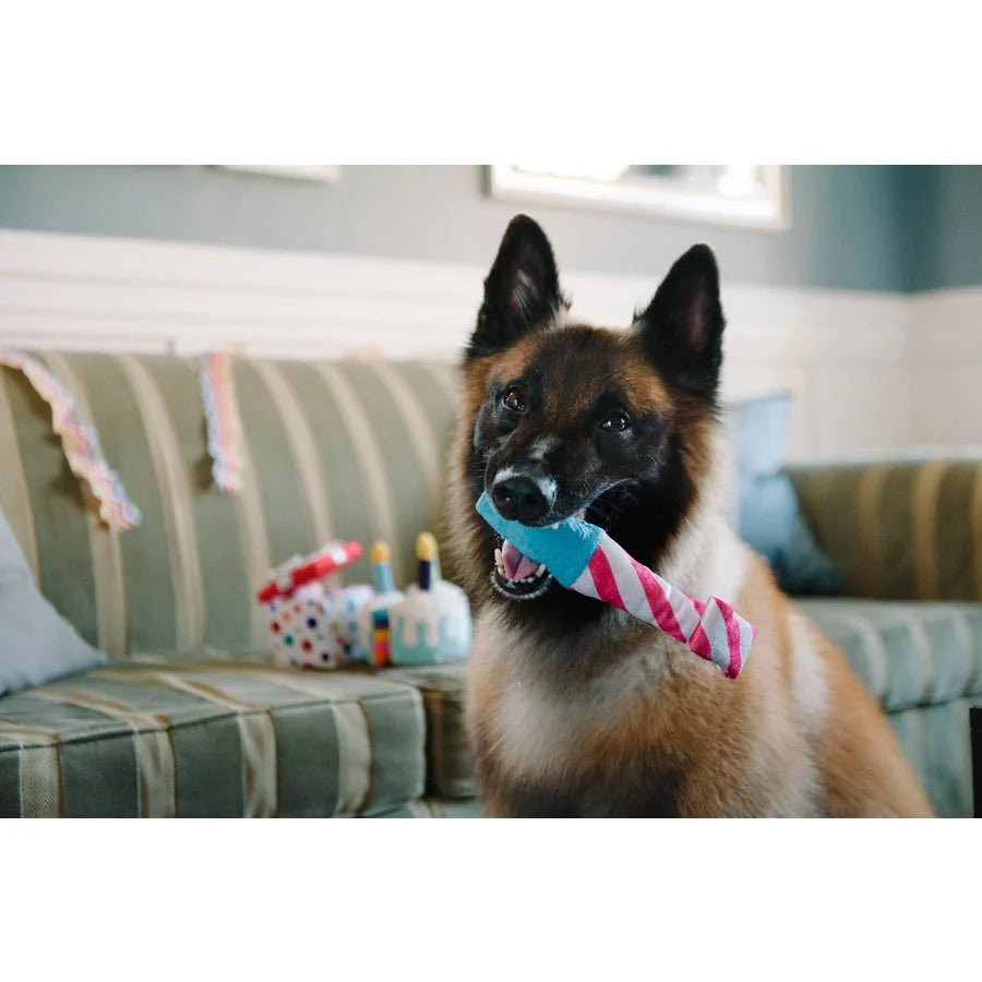 Play Raise The Woof Party Horn – Hondenfeest-Speelgoed