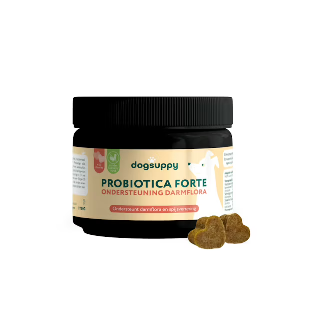 DogSuppy Probiotica Forte chewies – probiotica voor hond (60 stuks) voor darmflora en spijsvertering