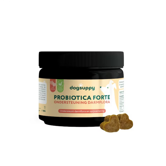 DogSuppy Probiotica Forte chewies – probiotica voor hond (60 stuks) voor darmflora en spijsvertering