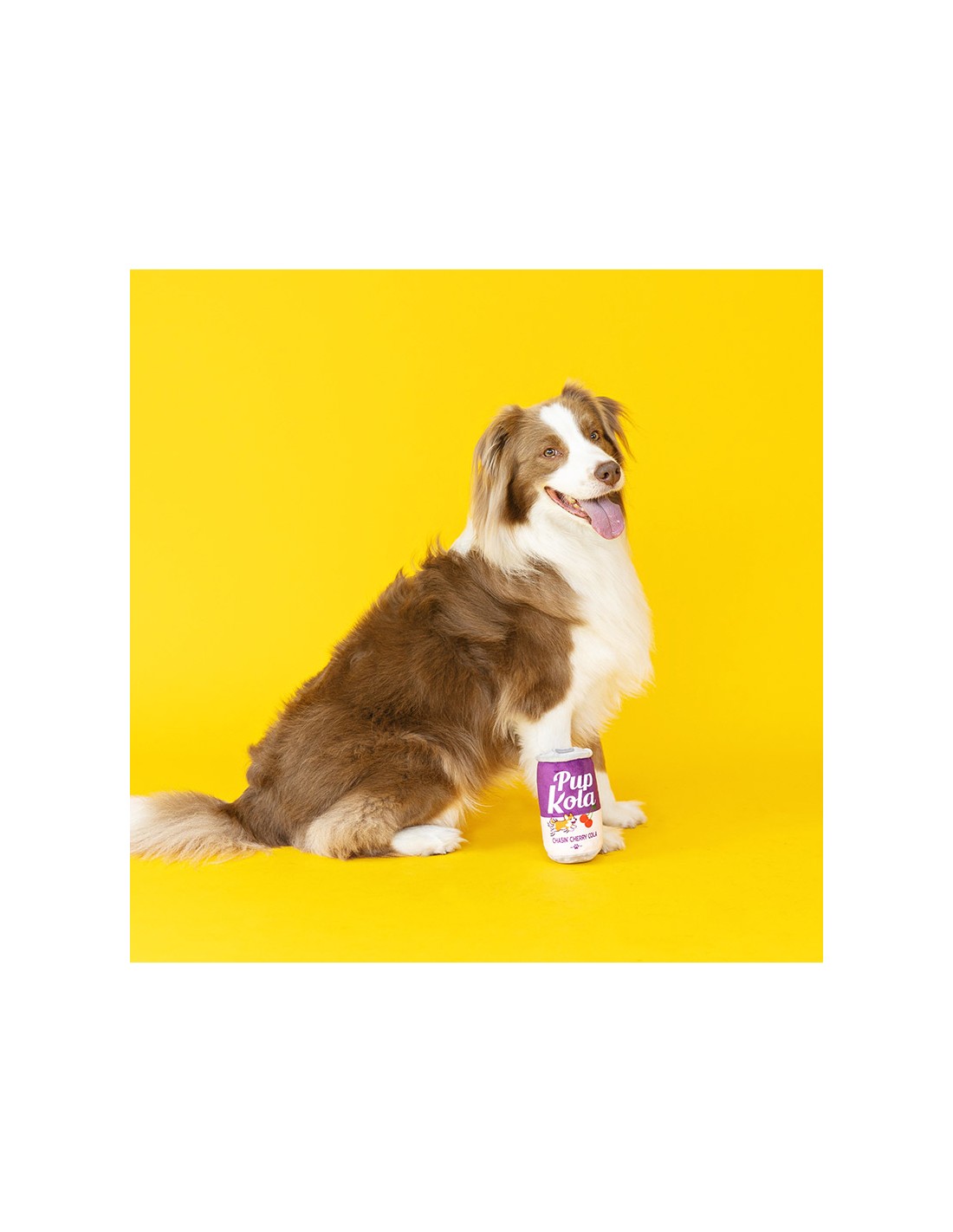 Pup Kola Plush Toy – "Chasin’ Cherry Cola"