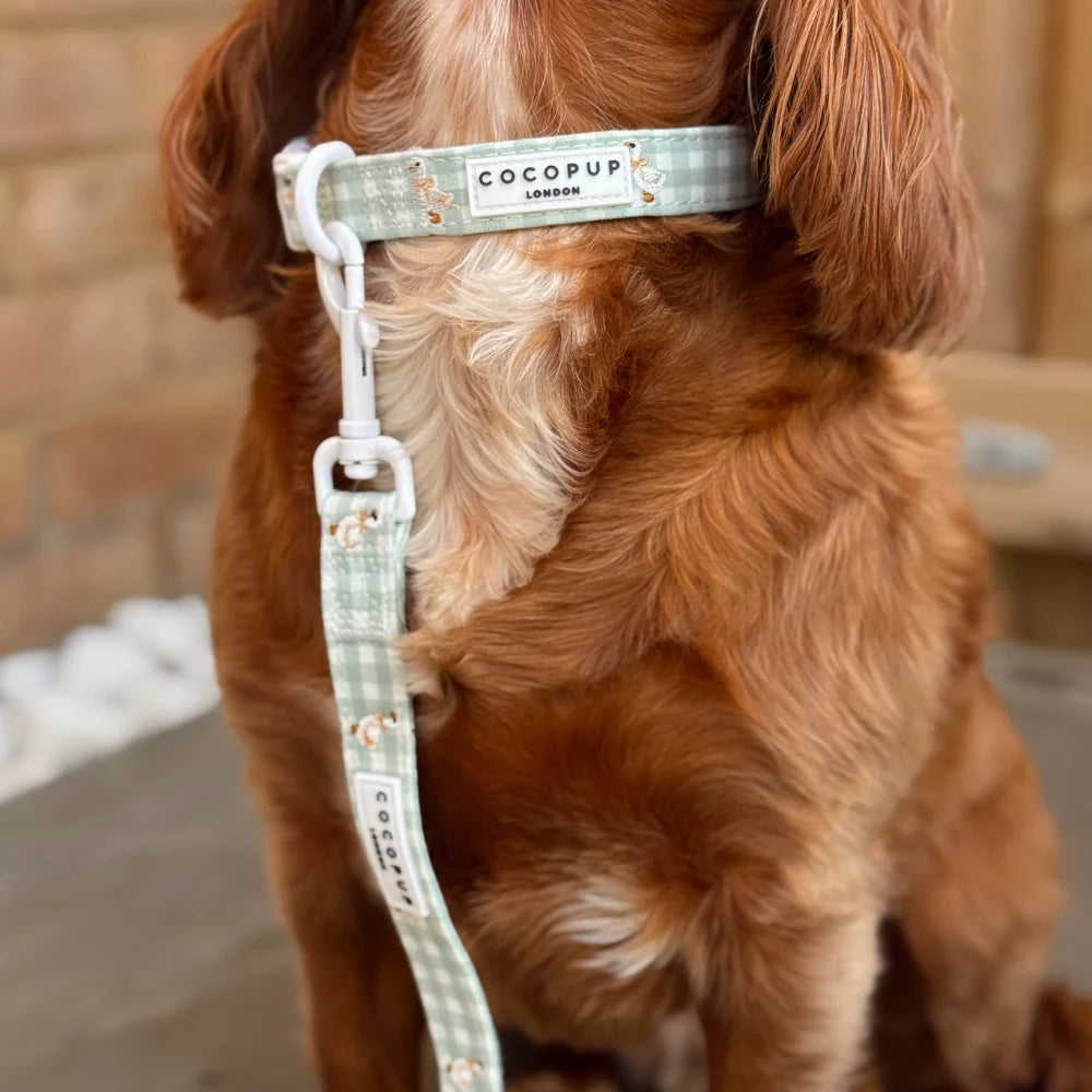Cocopup London Silly Goose – Hondenhalsband