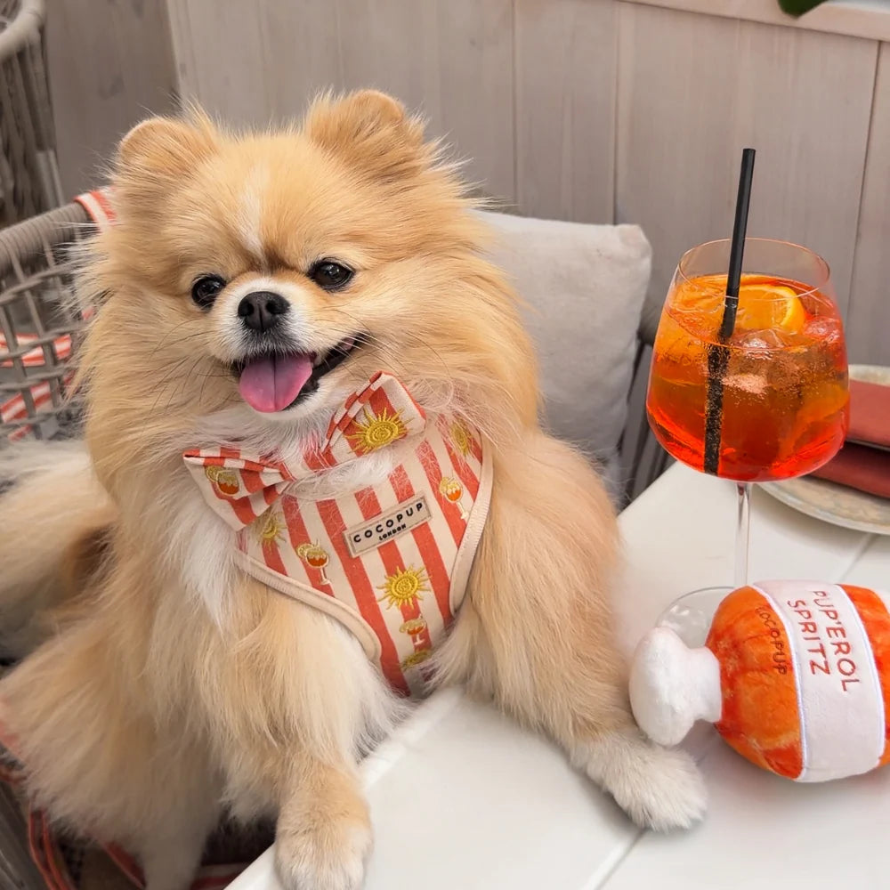 Cocopup London Sunshine & Spritz – Verstelbaar Hondentuig