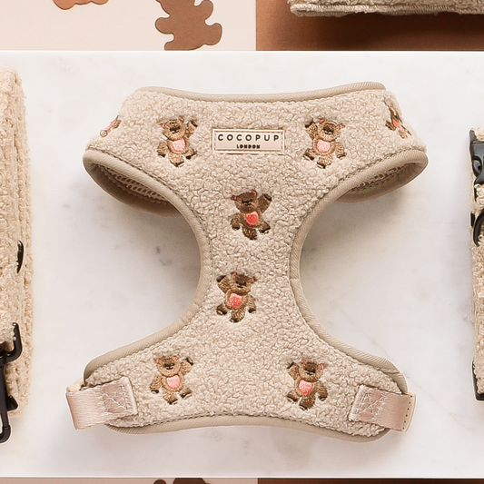 Cocopup Theo Embroidered Teddy verstelbaar hondentuig met teddyberen voor honden