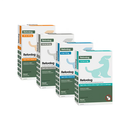 Refordog Spot-on hond parasietenbescherming pipet productfoto