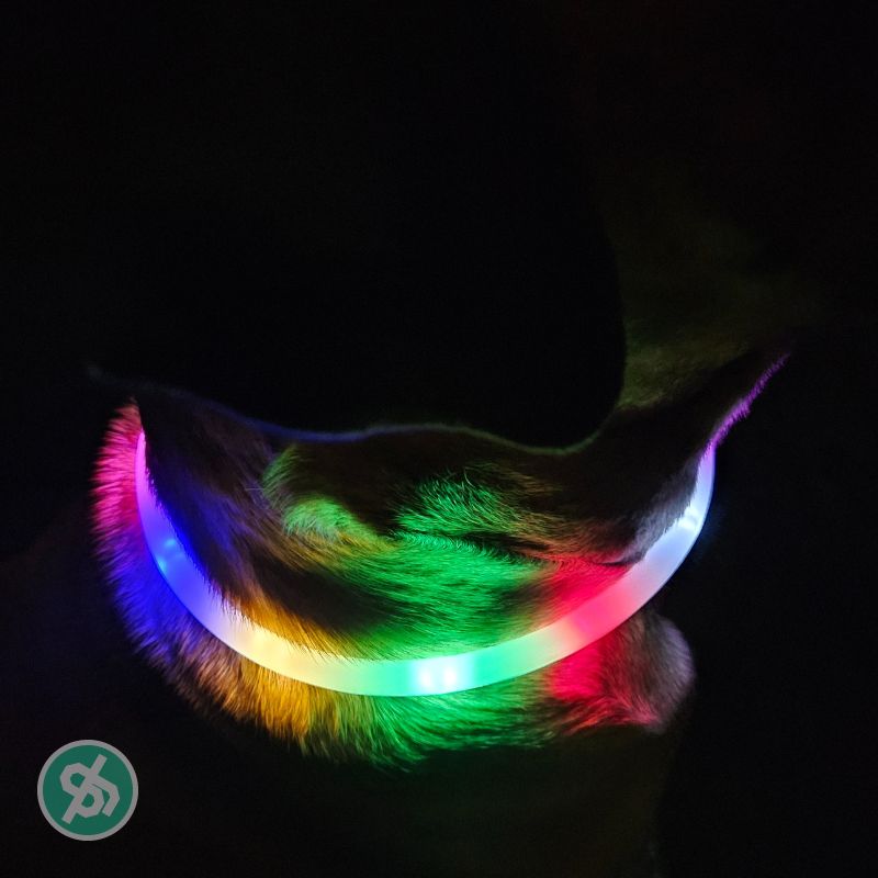 Trixie USB Flash Light Band — Veiligheid & zichtbaarheid (groen)