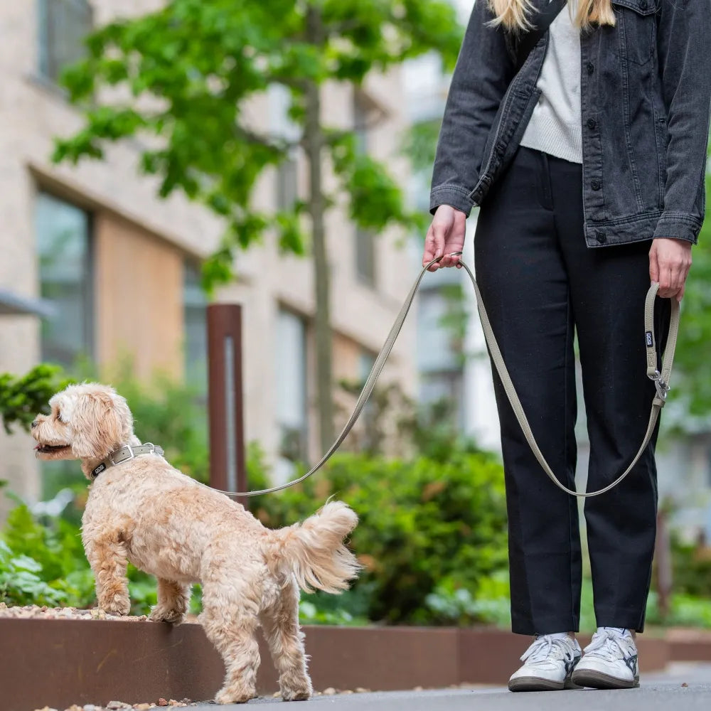 DOG Copenhagen Urban Classic Vegan Hondenlijn – Desert Dune