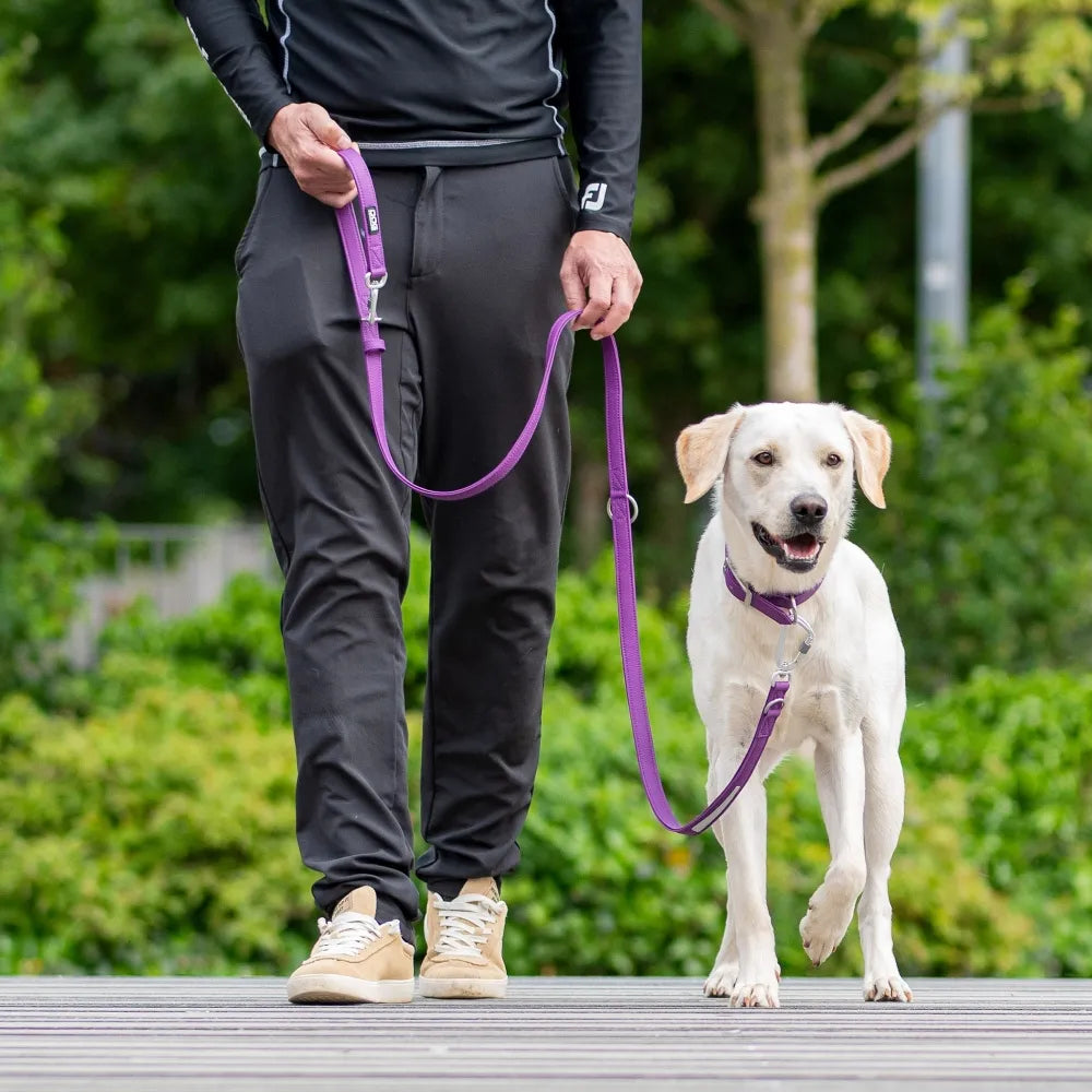 DOG Copenhagen Urban Classic Vegan Hondenlijn – Desert Dune