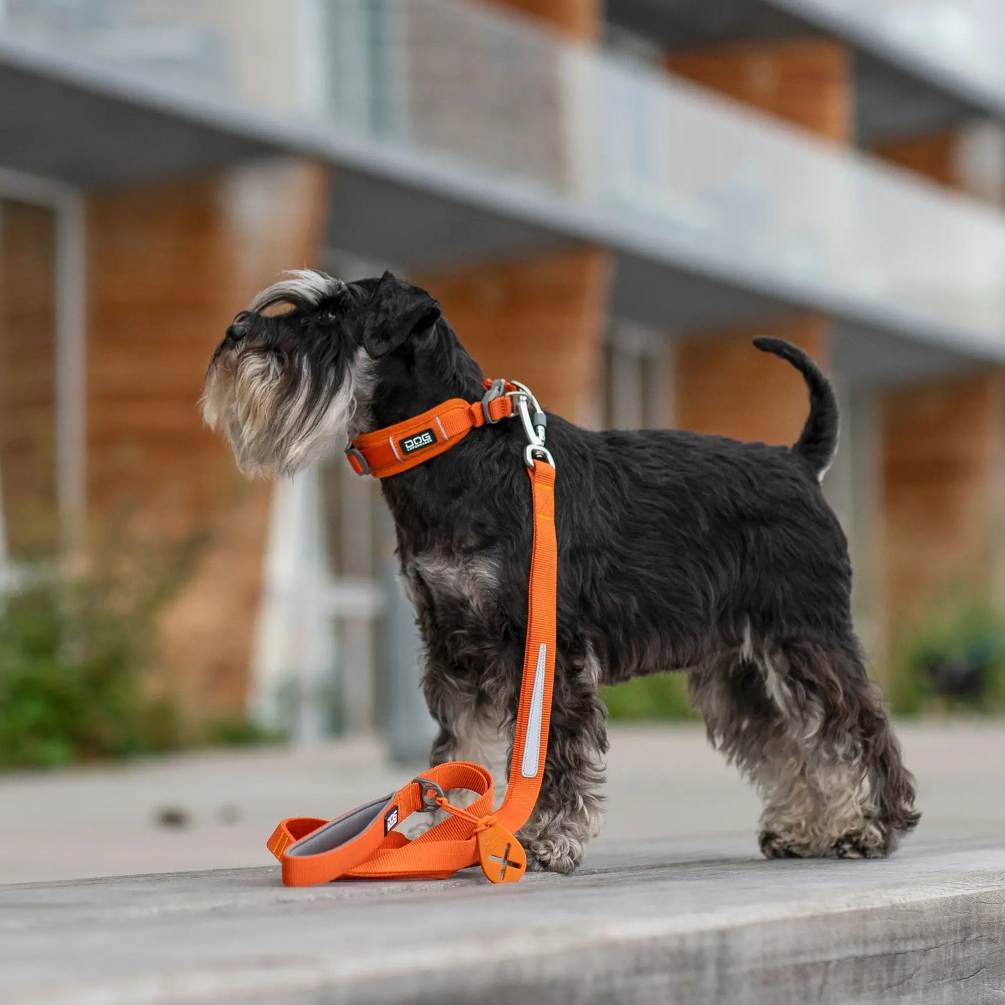 Dog Copenhagen Urban Trail Leash Oranje