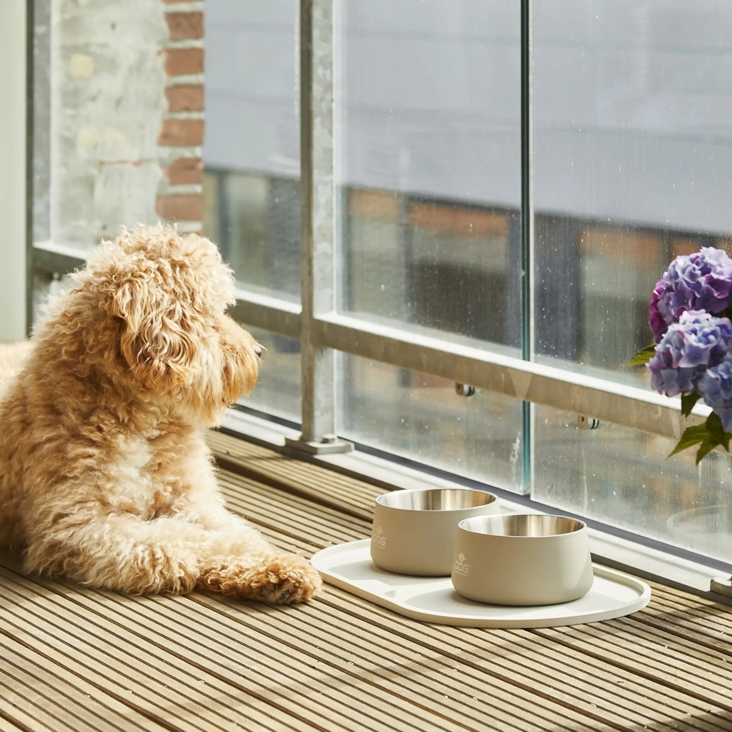 Dog Copenhagen Vega Bowl – Scandinavisch RVS & Antislip