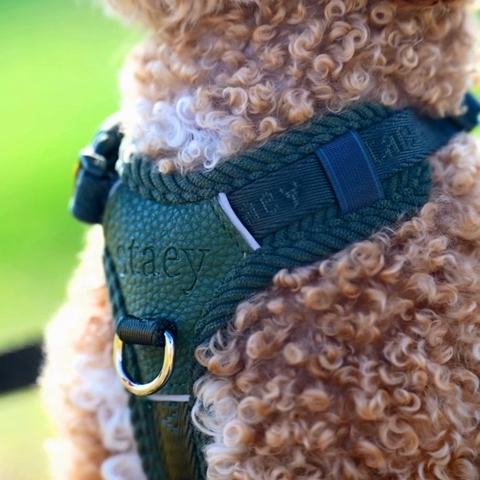 STAEY Numa Hondentuig – Moss Green