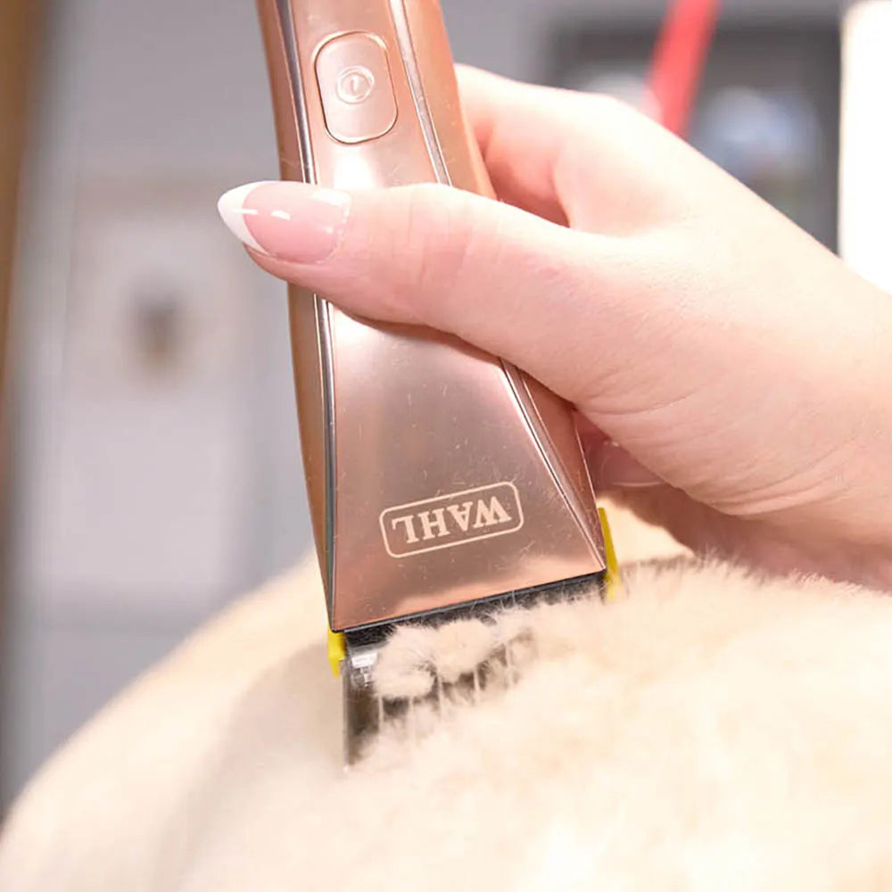 Wahl Motiva2 Champagne Accu Trimmer met 5-in-1 Scheerkop