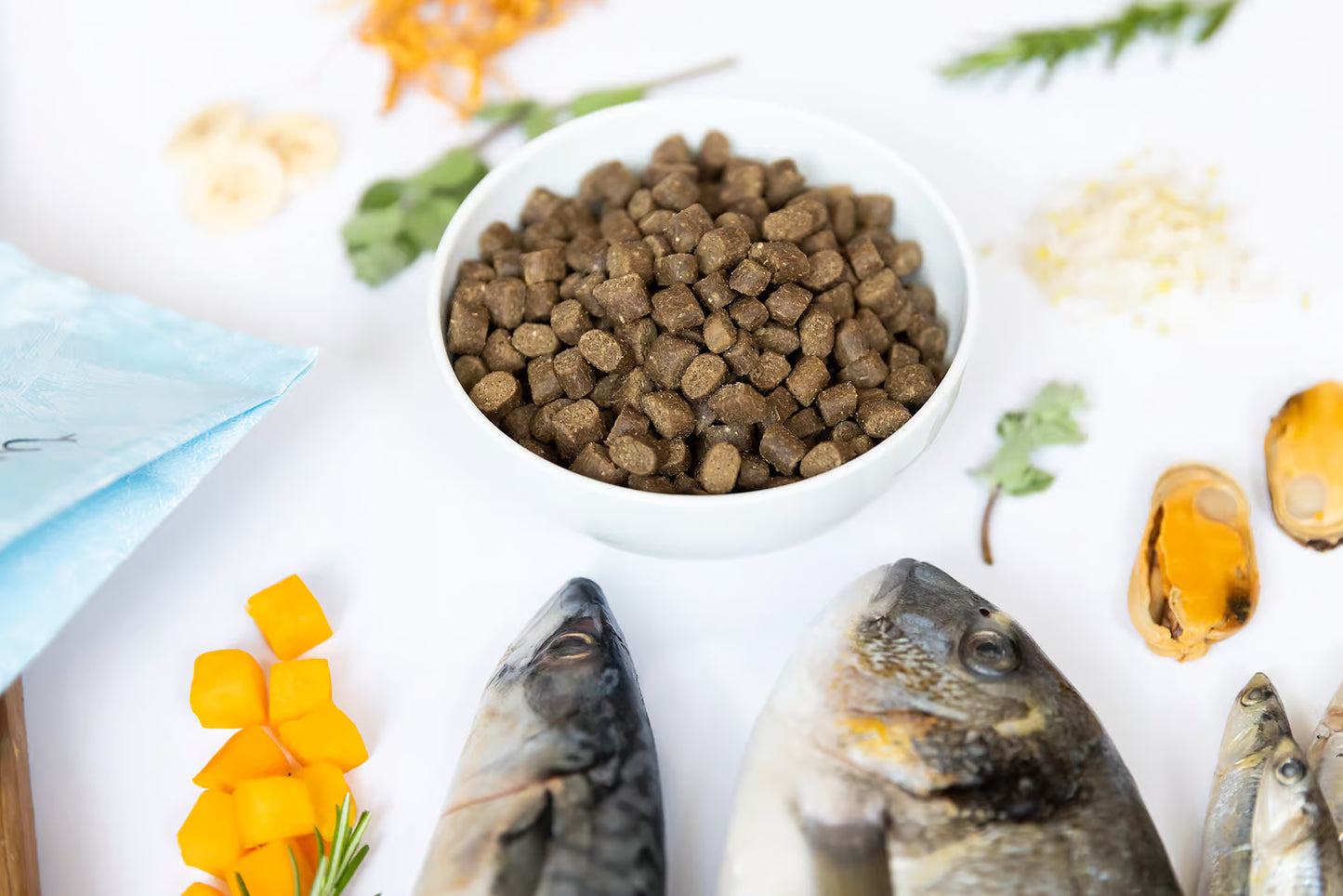 YDOLO Healthy & Pure Wild Fish – Semi-Moist Drooghondenvoer (2,5 kg & 10 kg)